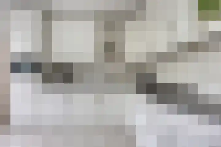 Voorste Heusden 30 Heusden thumbnail 12