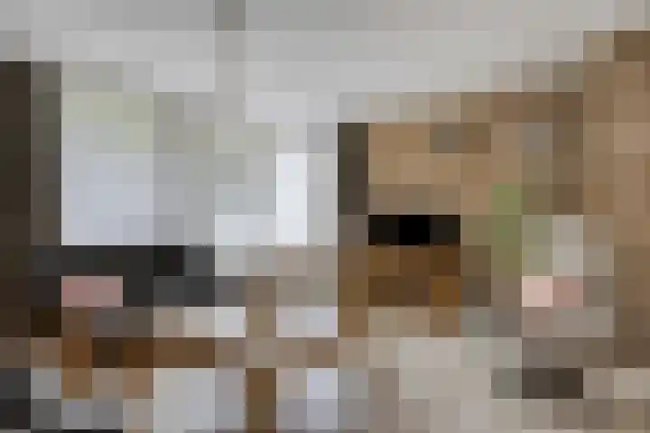 Voorste Heusden 30 Heusden thumbnail 14