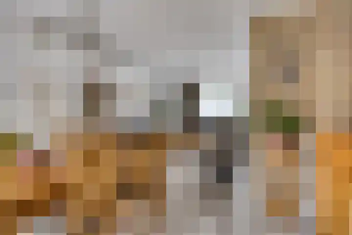 Voorste Heusden 30 Heusden thumbnail 16