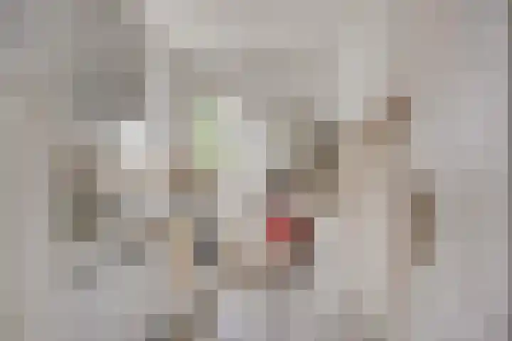 Voorste Heusden 30 Heusden thumbnail 20