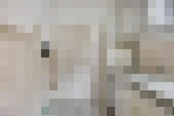 Voorste Heusden 30 Heusden thumbnail 21