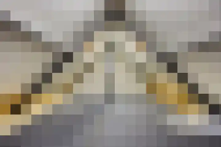 Voorste Heusden 30 Heusden thumbnail 34