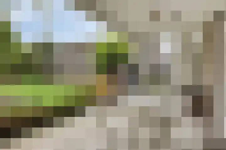 Voorste Heusden 30 Heusden thumbnail 35