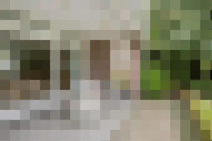 Voorste Heusden 30 Heusden thumbnail 39