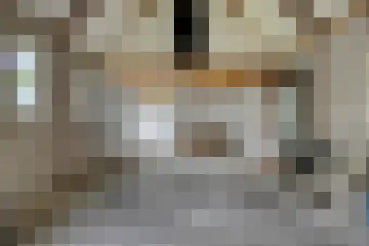 Voorste Heusden 30 Heusden thumbnail 4