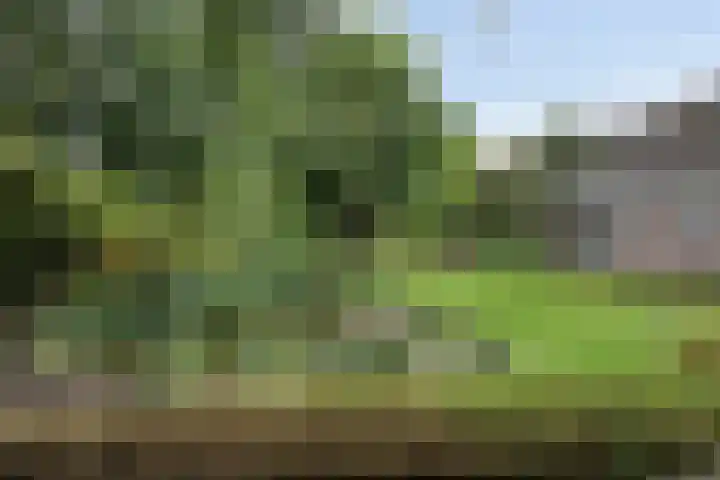 Voorste Heusden 30 Heusden thumbnail 40