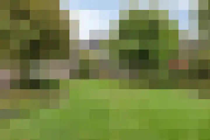 Voorste Heusden 30 Heusden thumbnail 41