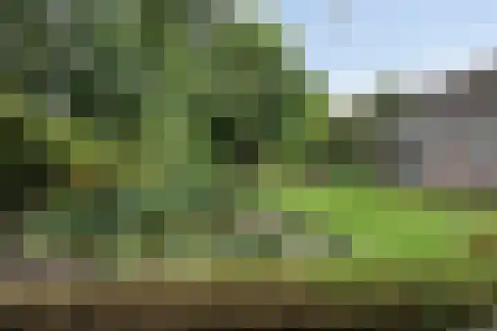 Voorste Heusden 30 Heusden thumbnail 5