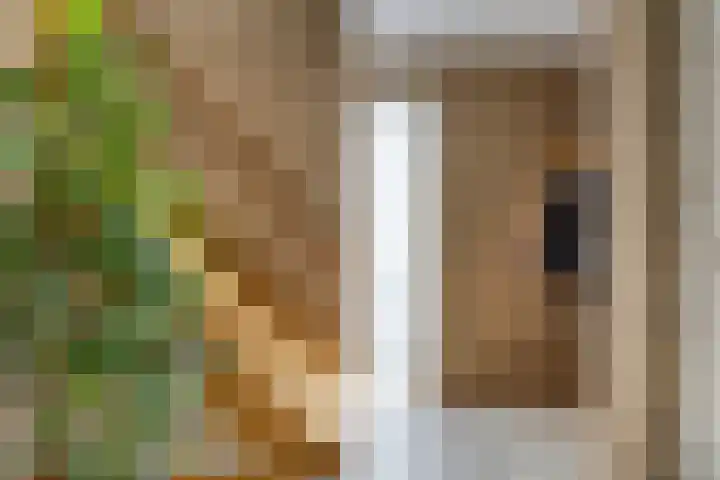 Voorste Heusden 30 Heusden thumbnail 7