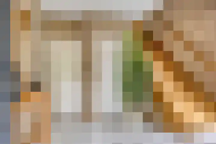 Voorste Heusden 30 Heusden thumbnail 9
