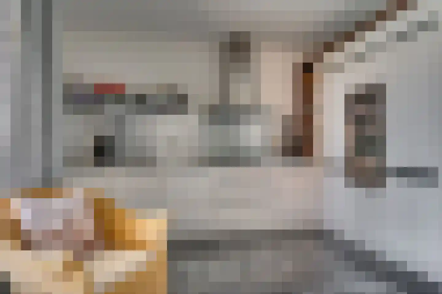 Voorste Horst 19 Baarlo thumbnail 16