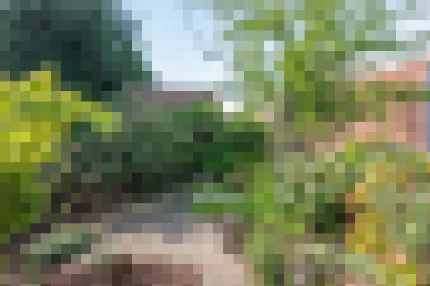 Voorste Horst 19 Baarlo thumbnail 37