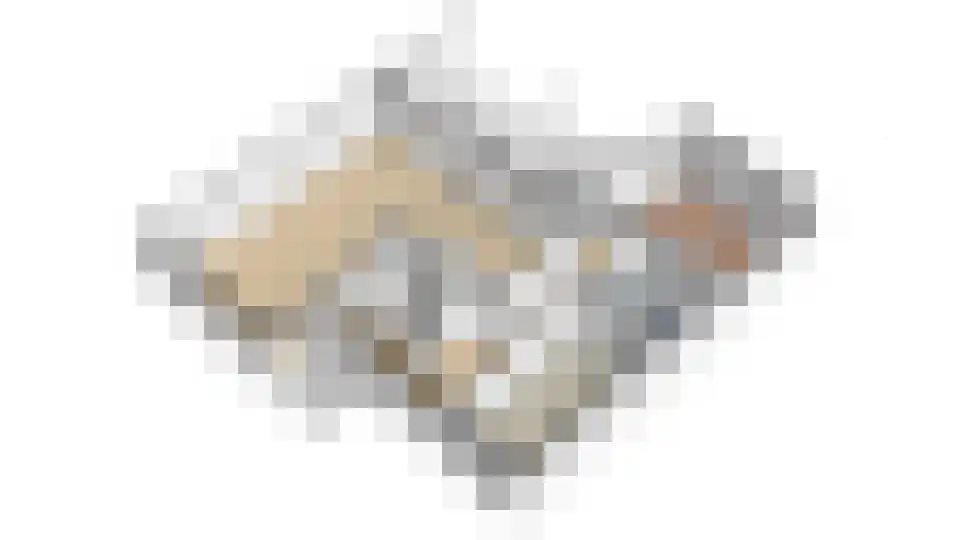 Voorste Horst 19 Baarlo thumbnail 51