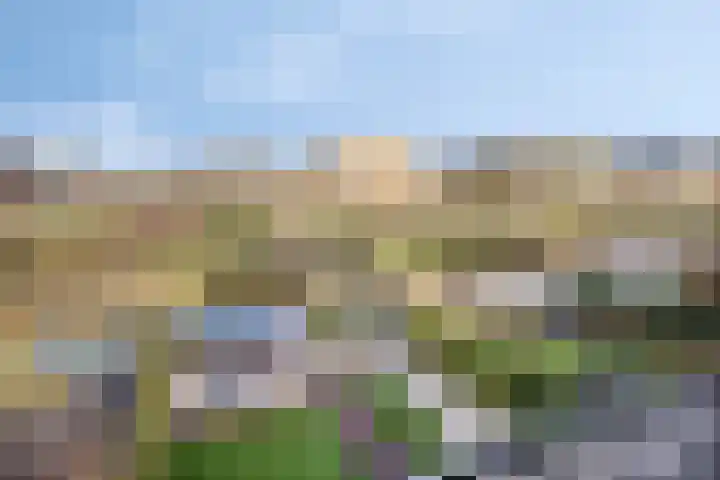 Voorste Kamp 50 Bunschoten-Spakenburg thumbnail 66