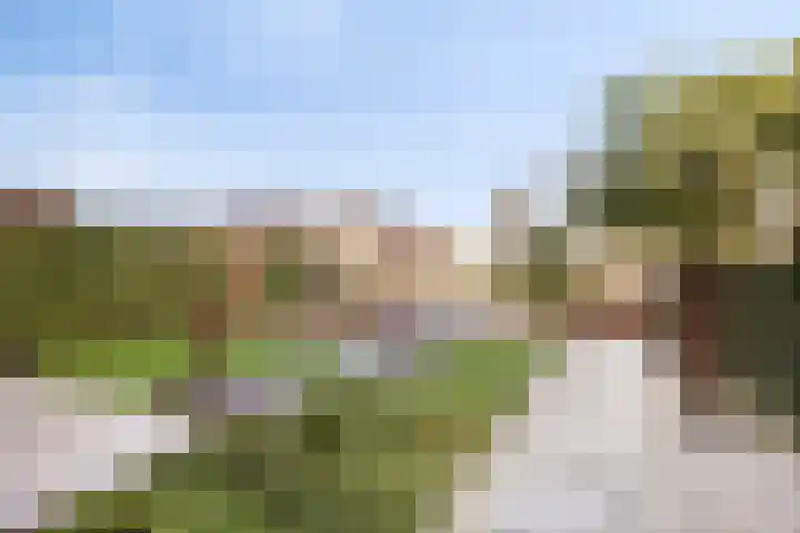 Voorste Kamp 50 Bunschoten-Spakenburg thumbnail 69