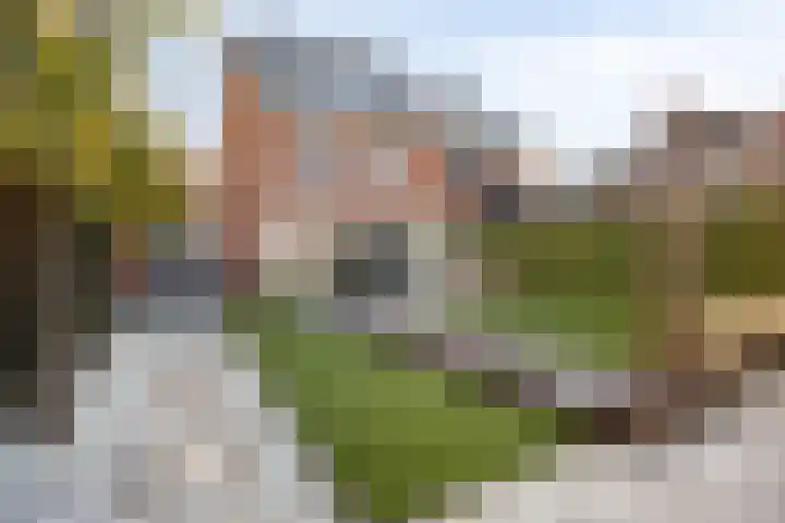 Voorste Kamp 50 Bunschoten-Spakenburg thumbnail 71