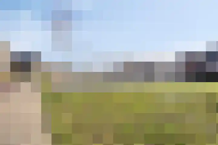 Voorste Kamp 50 Bunschoten-Spakenburg thumbnail 78