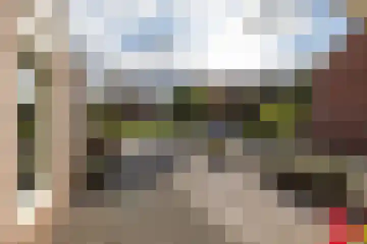 Voorste Kampen 10 Vries thumbnail 10