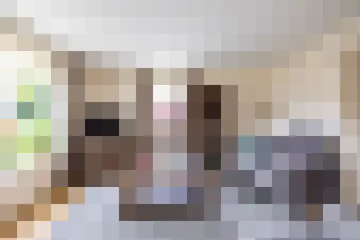 Voorste Kampen 10 Vries thumbnail 15