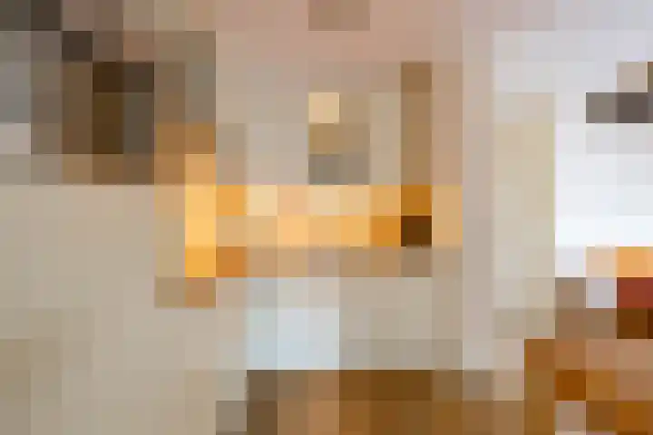 Voorste Kampen 10 Vries thumbnail 21