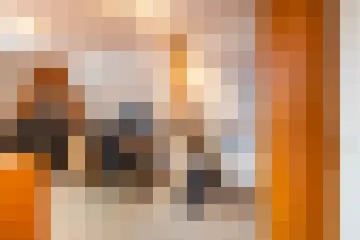 Voorste Kampen 10 Vries thumbnail 40