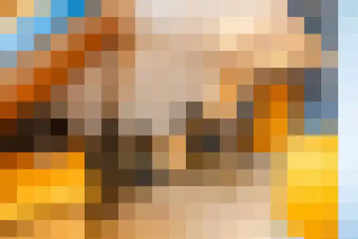 Voorste Kampen 10 Vries thumbnail 42