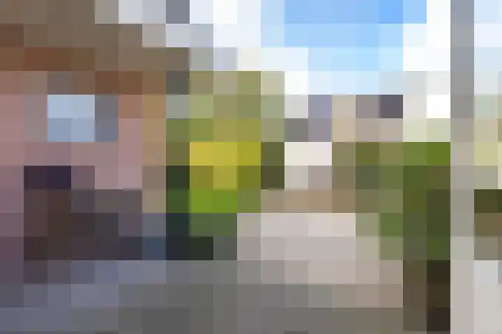 Voorste Kampen 10 Vries thumbnail 47