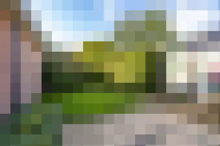 Voorste Kampen 10 Vries thumbnail 48