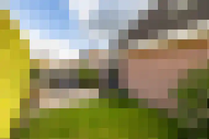 Voorste Kampen 10 Vries thumbnail 5
