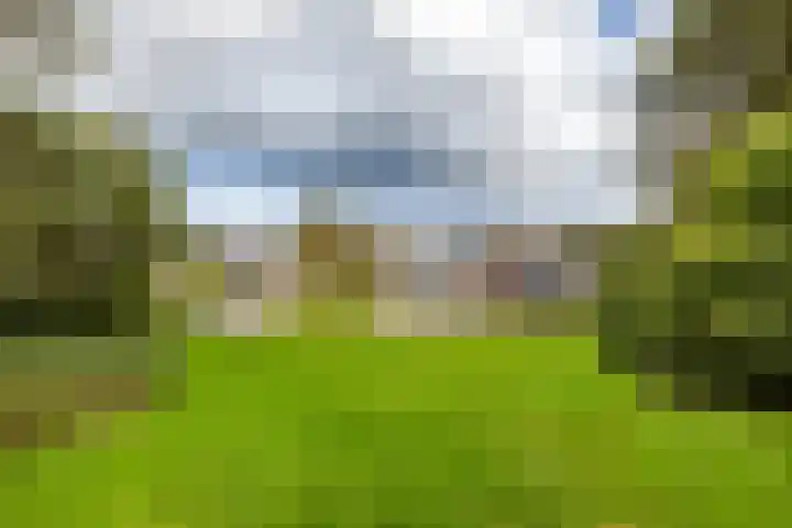 Voorste Kampen 10 Vries thumbnail 53