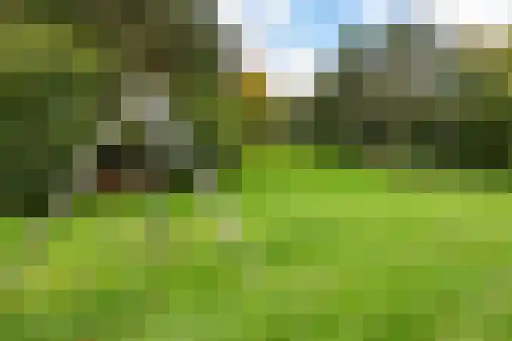 Voorste Kampen 10 Vries thumbnail 55