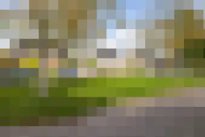 Voorste Kampen 10 Vries thumbnail 6
