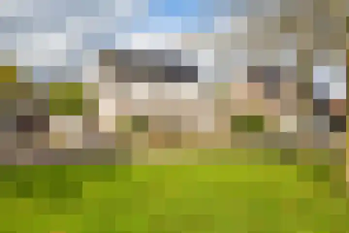 Voorste Kampen 10 Vries thumbnail 7