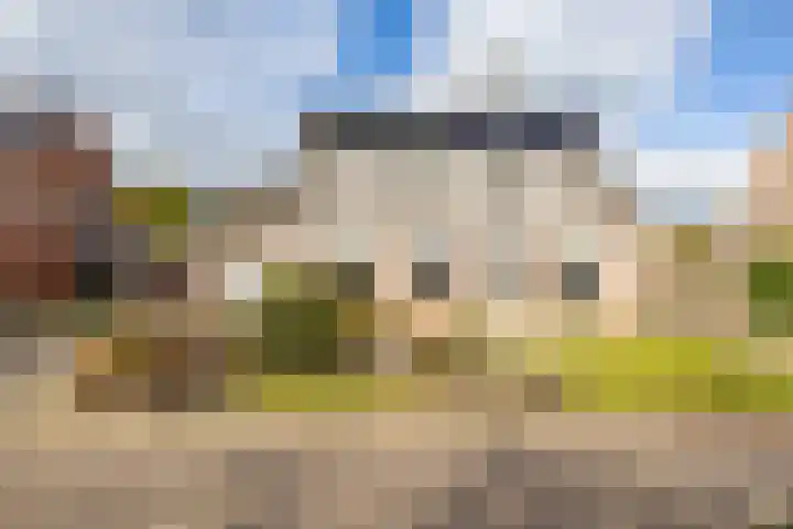 Voorste Kampen 10 Vries thumbnail 8
