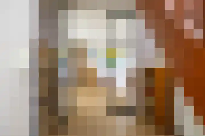 Voorste Kampen 23 Vries thumbnail 12