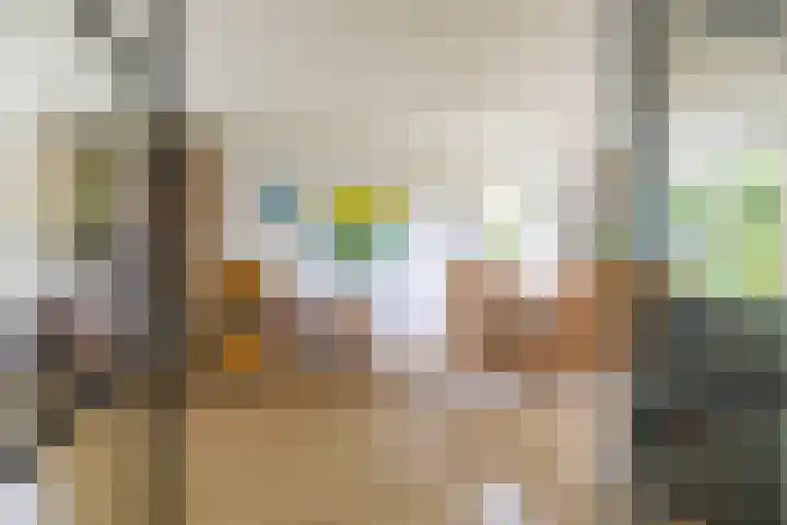 Voorste Kampen 23 Vries thumbnail 13