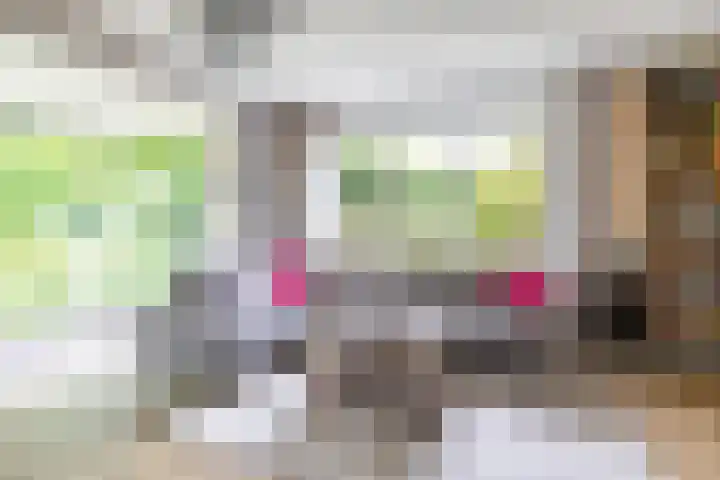 Voorste Kampen 23 Vries thumbnail 20