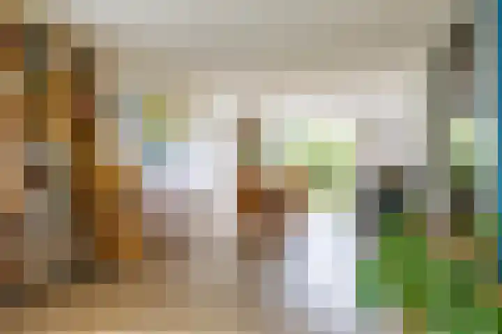 Voorste Kampen 23 Vries thumbnail 21