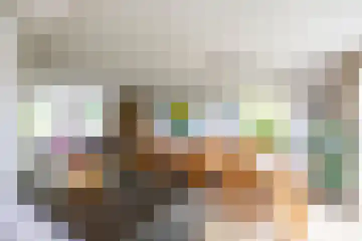 Voorste Kampen 23 Vries thumbnail 26