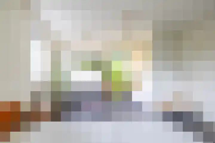 Voorste Kampen 23 Vries thumbnail 31