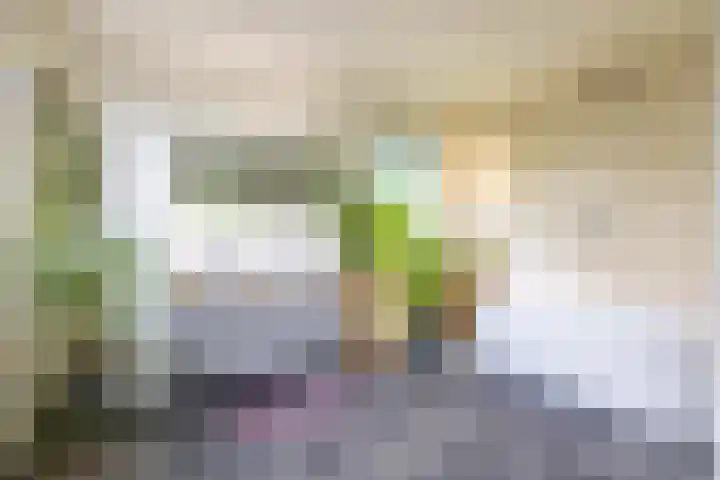 Voorste Kampen 23 Vries thumbnail 4