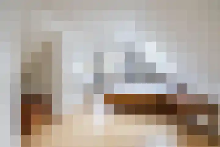 Voorste Kampen 23 Vries thumbnail 41