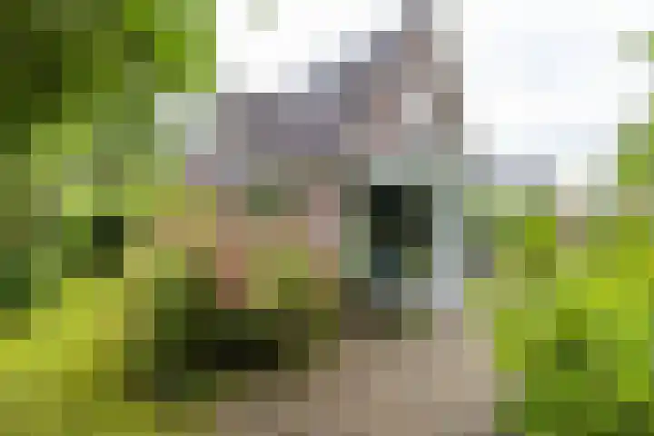 Voorste Kampen 23 Vries thumbnail 51