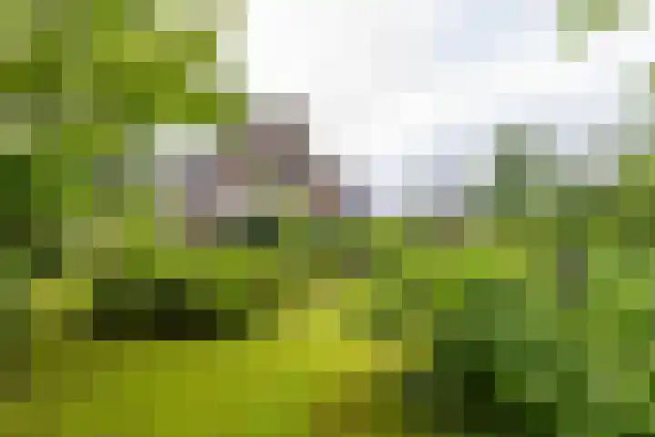 Voorste Kampen 23 Vries thumbnail 53