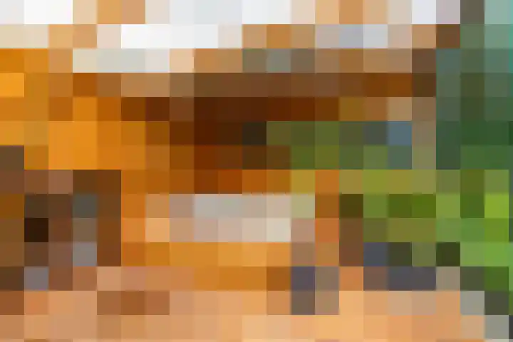 Voorste Kampen 23 Vries thumbnail 67