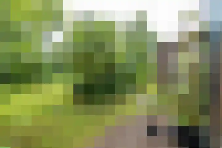 Voorste Kampen 23 Vries thumbnail 69