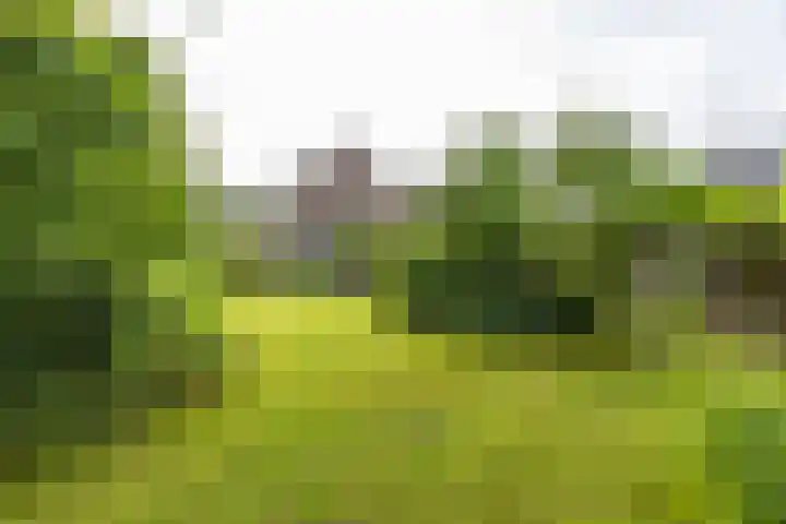 Voorste Kampen 23 Vries thumbnail 7