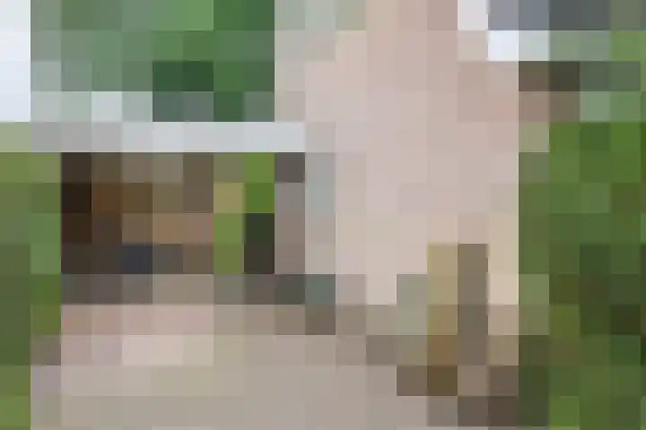 Voorste Kampen 23 Vries thumbnail 8