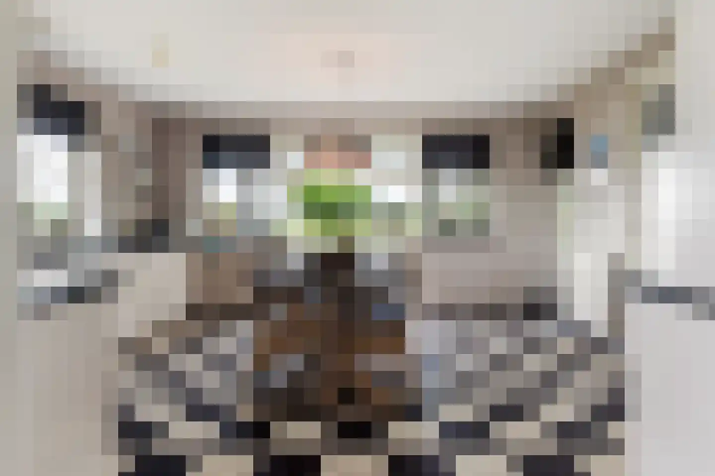Voorste Kerkweg 22 Beekbergen thumbnail 10