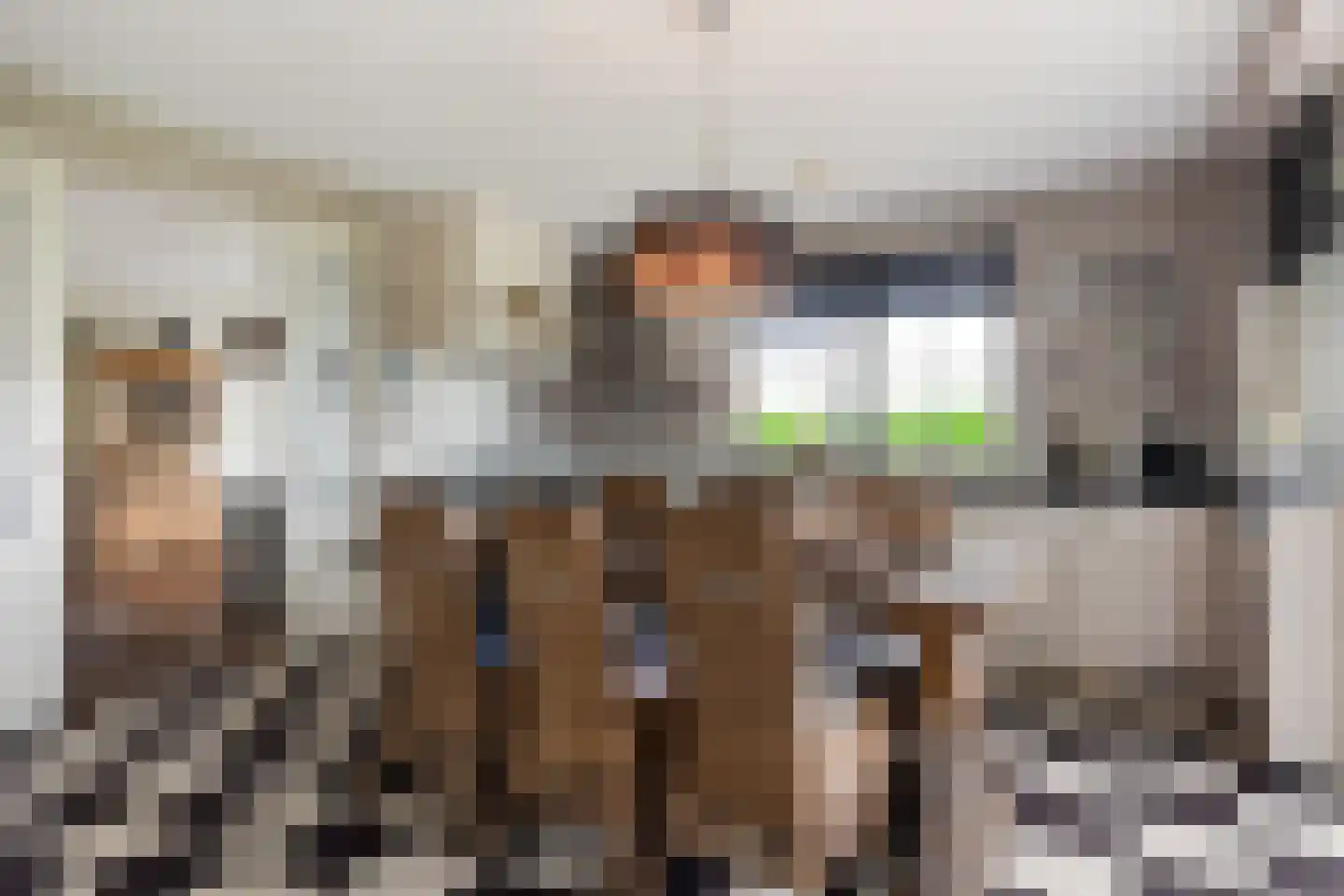 Voorste Kerkweg 22 Beekbergen thumbnail 11